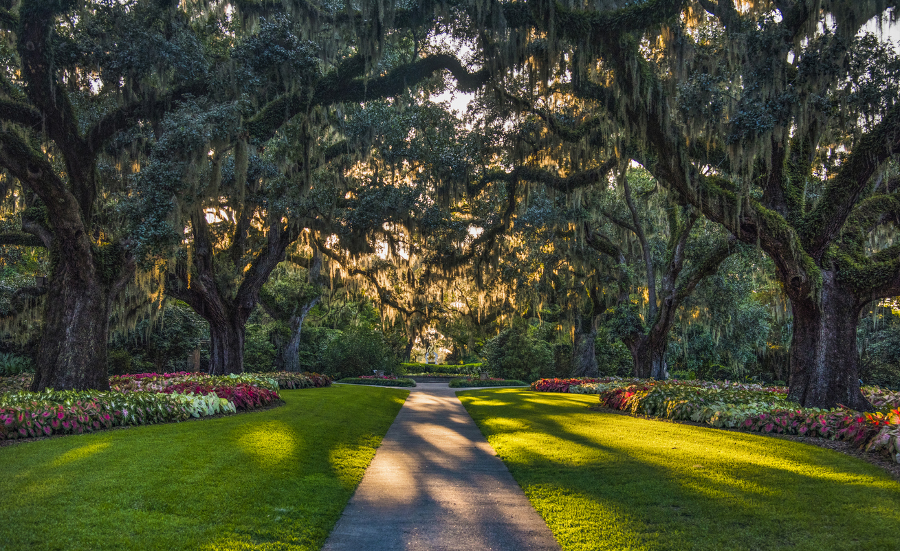 Brookgreen Gardens in the Myrtle Beach Area