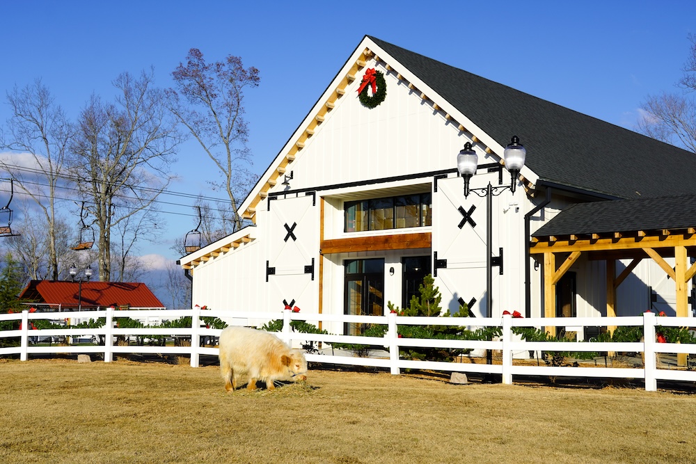 Skyland Ranch In Sevierville