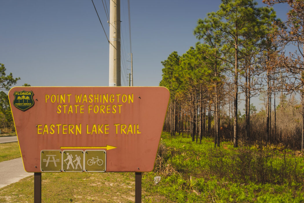 Point Washington Forest in Santa Rosa Beach