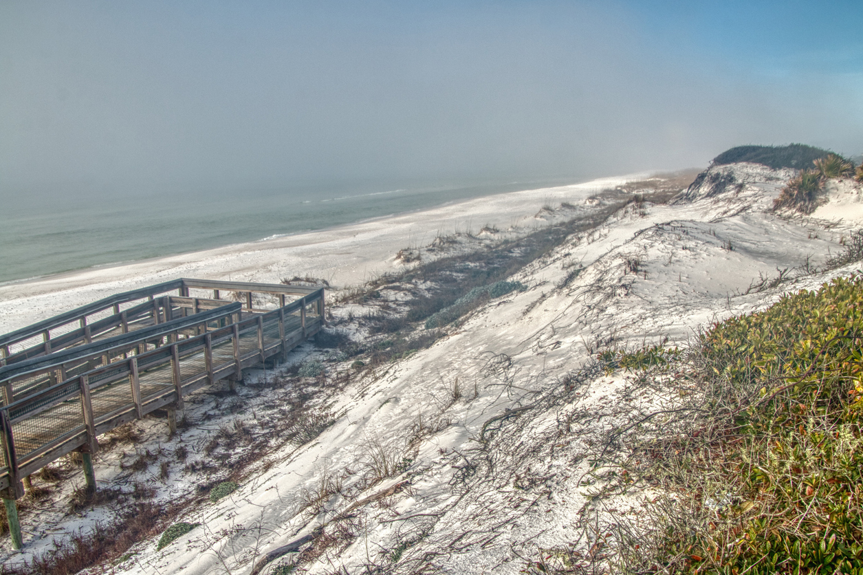 Grayton Beach State Park Santa Rosa Beach, FL