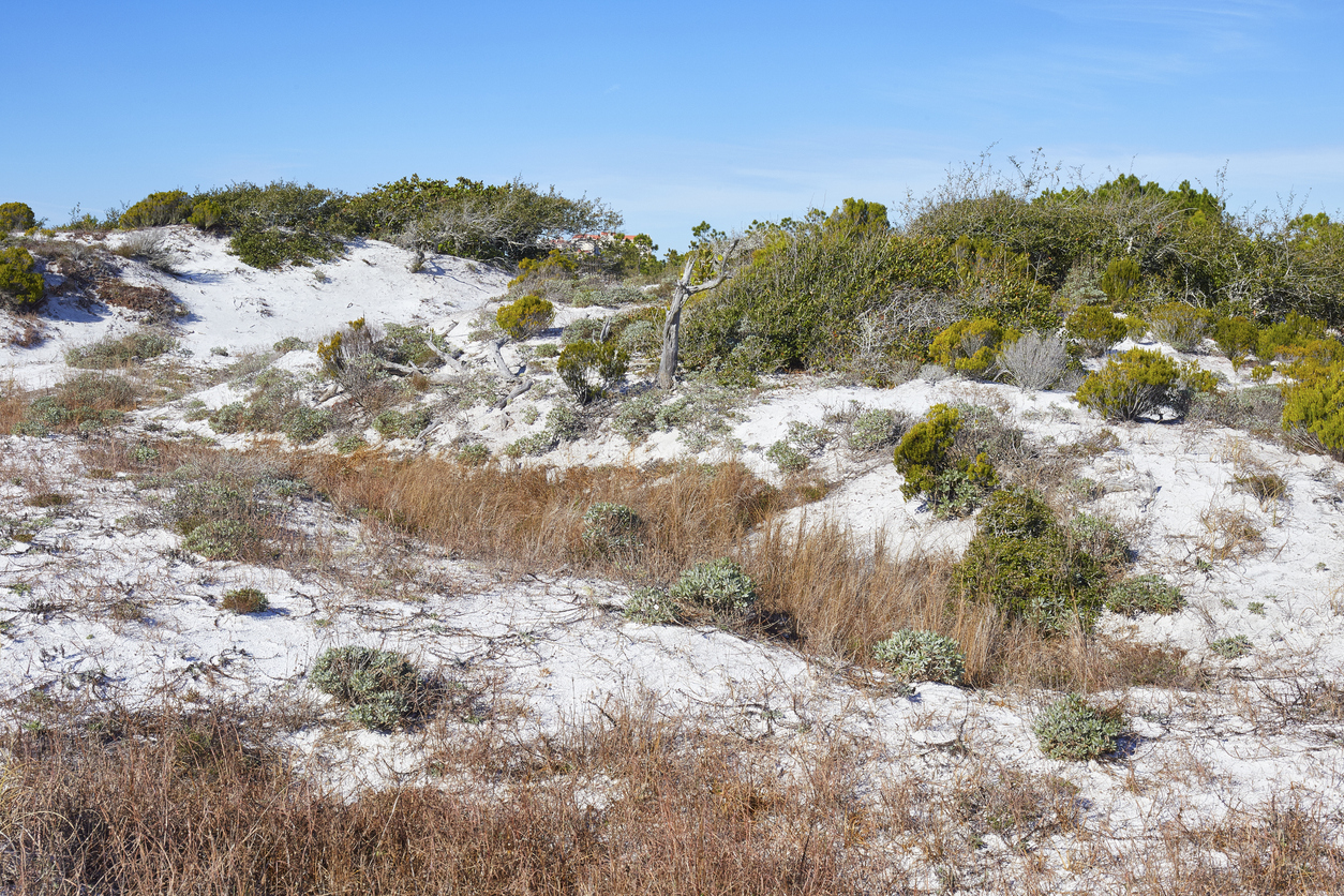 Topsail Hill Preserve Park Santa Rosa Beach