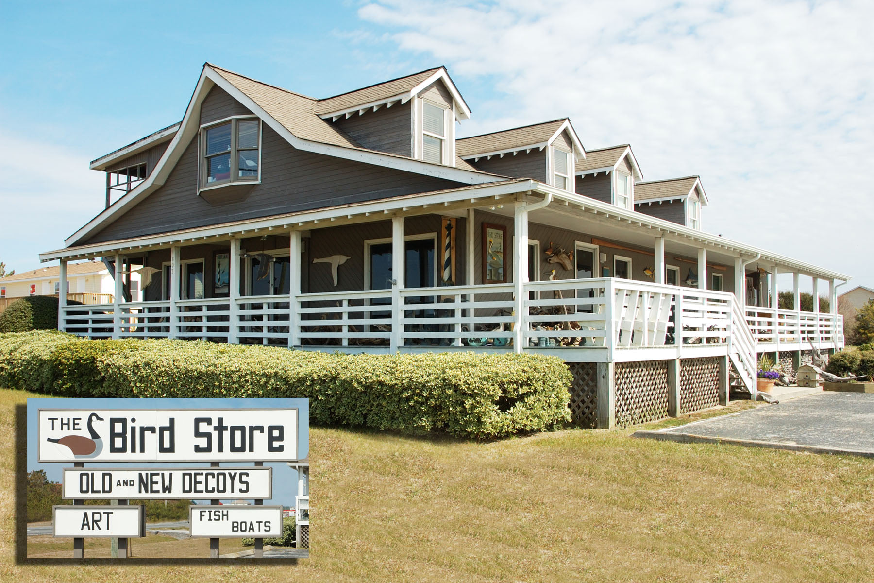 The Bird Store Outer Banks Wildlife Art Gallery