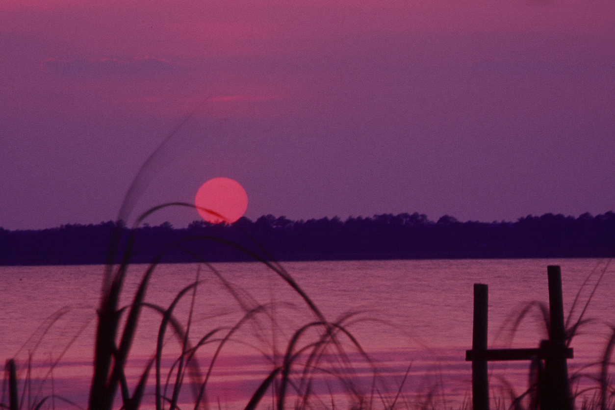 Nags Head Woods Preserve | Outer Banks Hiking Trails