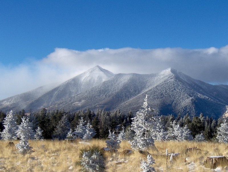 Things to do in Flagstaff Arizona