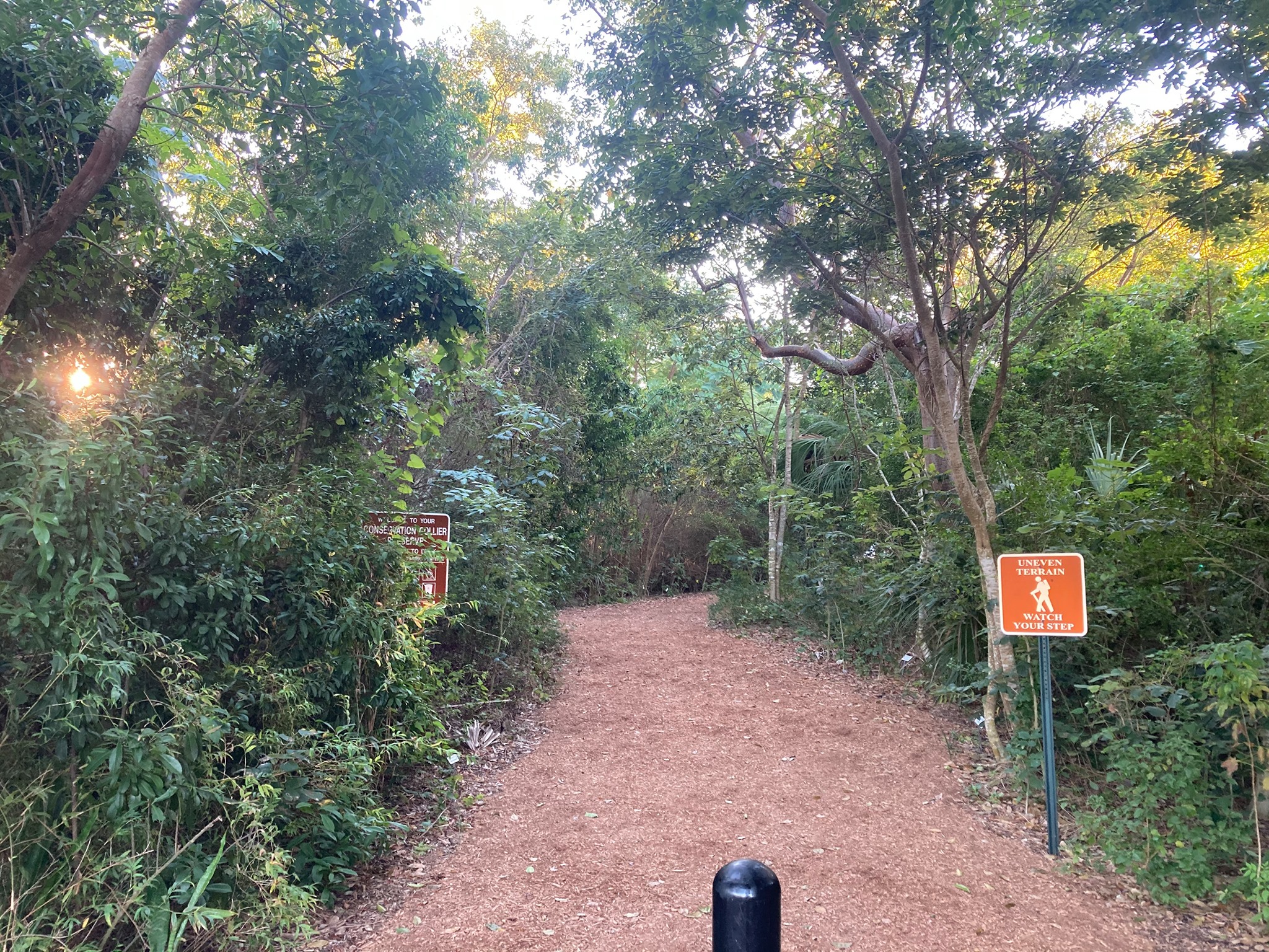 Otter Mound Preserve In Marco Island Florida