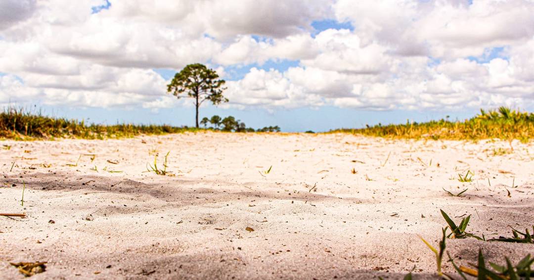 Conservancy of Southwest Florida in Naples