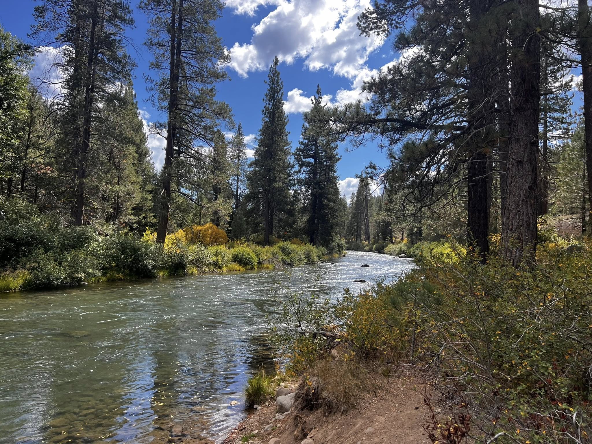 Truckee River Guide: From Lake Tahoe to Pyramid Lake