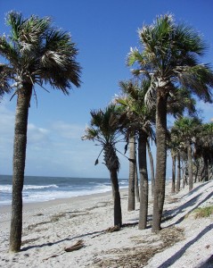 Things to do in Edisto Island South Carolina