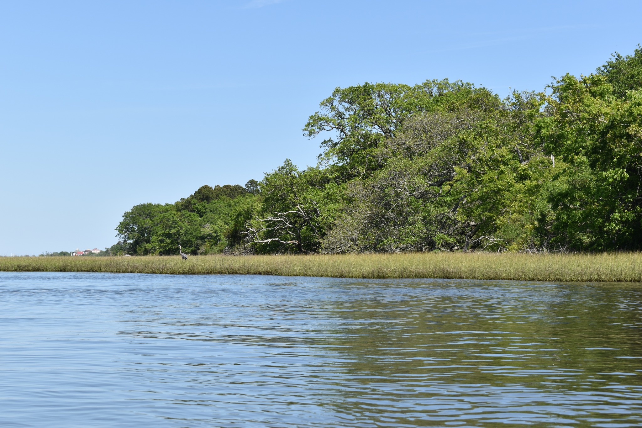 Permuda Island Coastal Reserve | Near Topsail Island