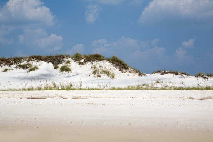 Things to do in Cape San Blas Florida