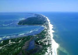 Things to do in Cape San Blas Florida