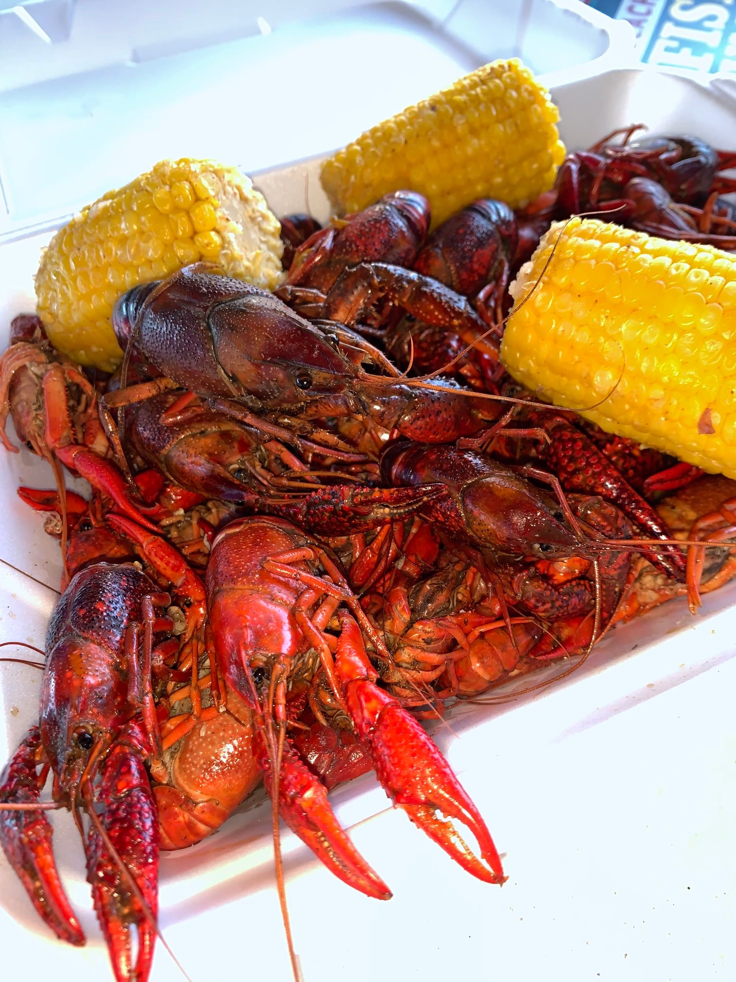 The Pensacola Beach Crawfish Festival
