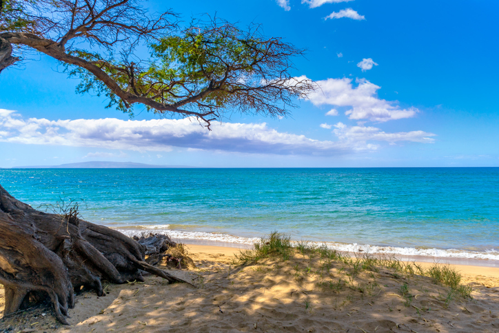Things to do in Kihei Hawaii