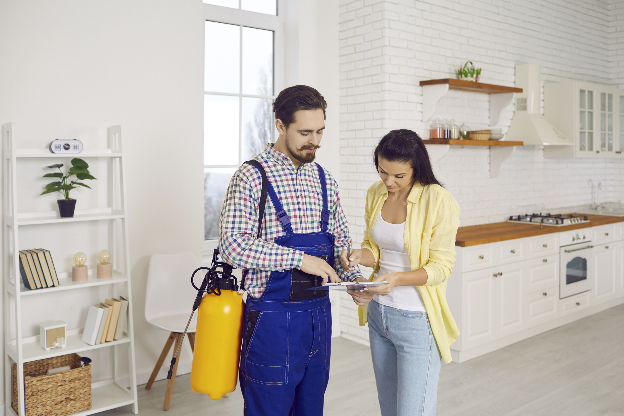 Pest Control for Vacation Rentals | Keep Guests Happy