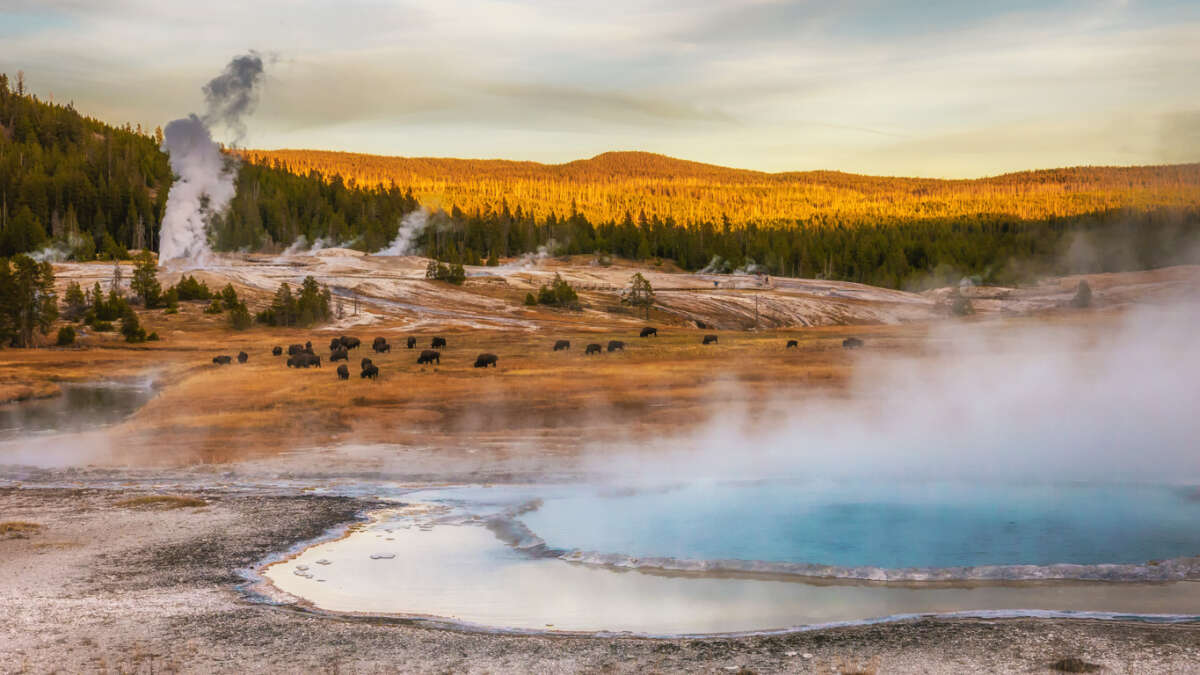 Explore Yellowstone National Park | Complete Travel Guide