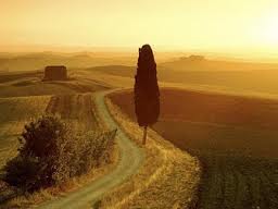 Things to do in Tuscany Italy