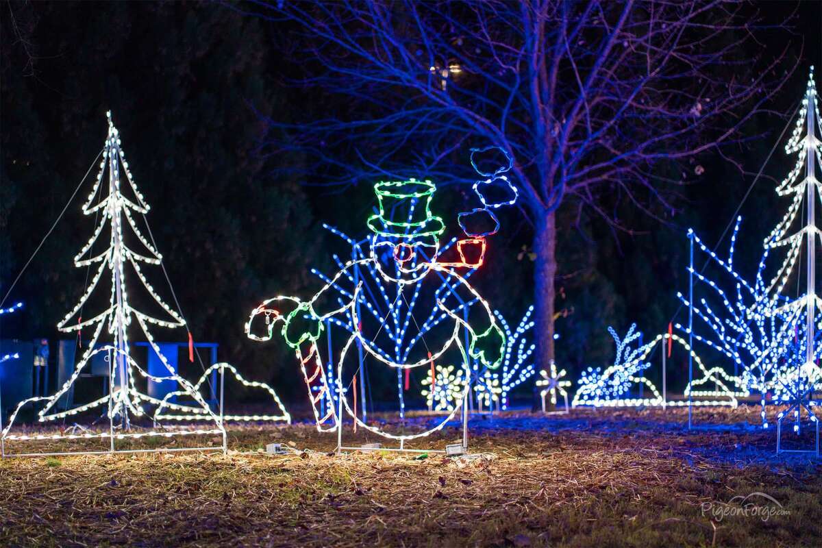 Things Students Can Do in Winter if They Don't Like Skiing