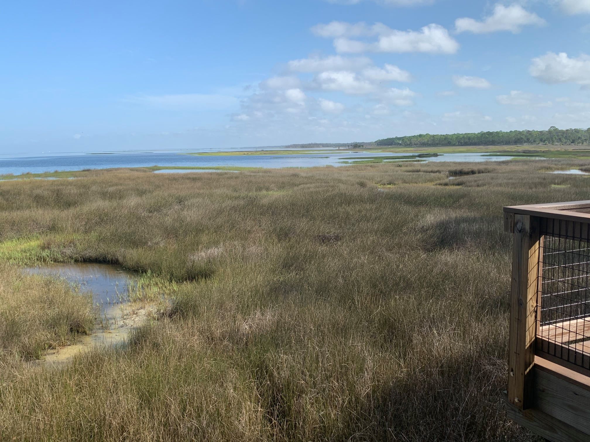 Serenity Trail Cape San Blas Florida Nature Walk & Wildlife