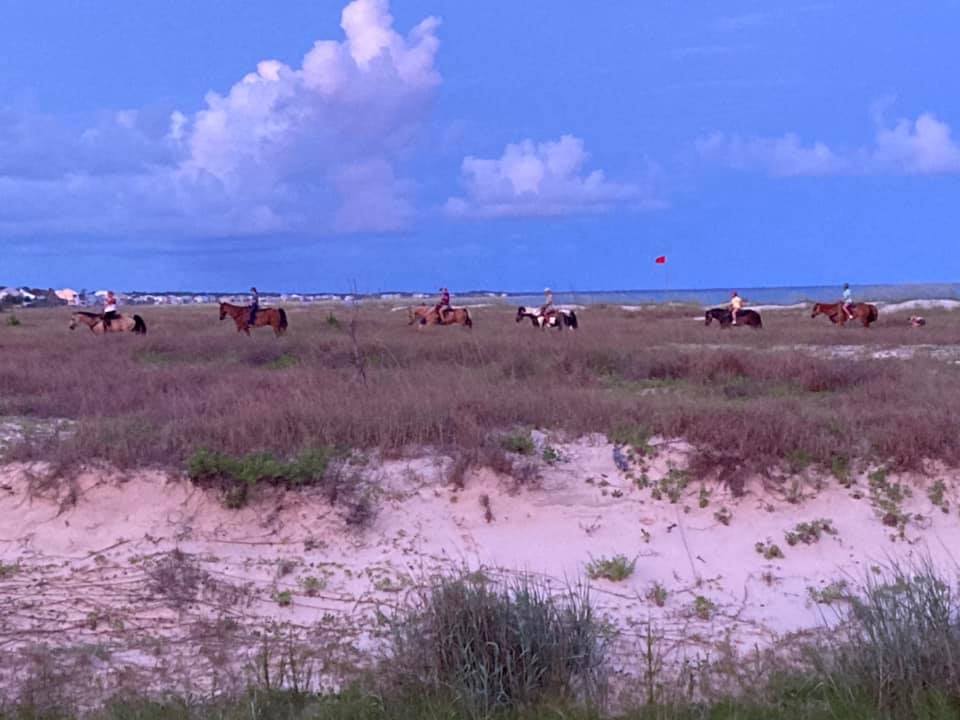Beach Horseback Riding in Cape San Blas | Forgotten Coast