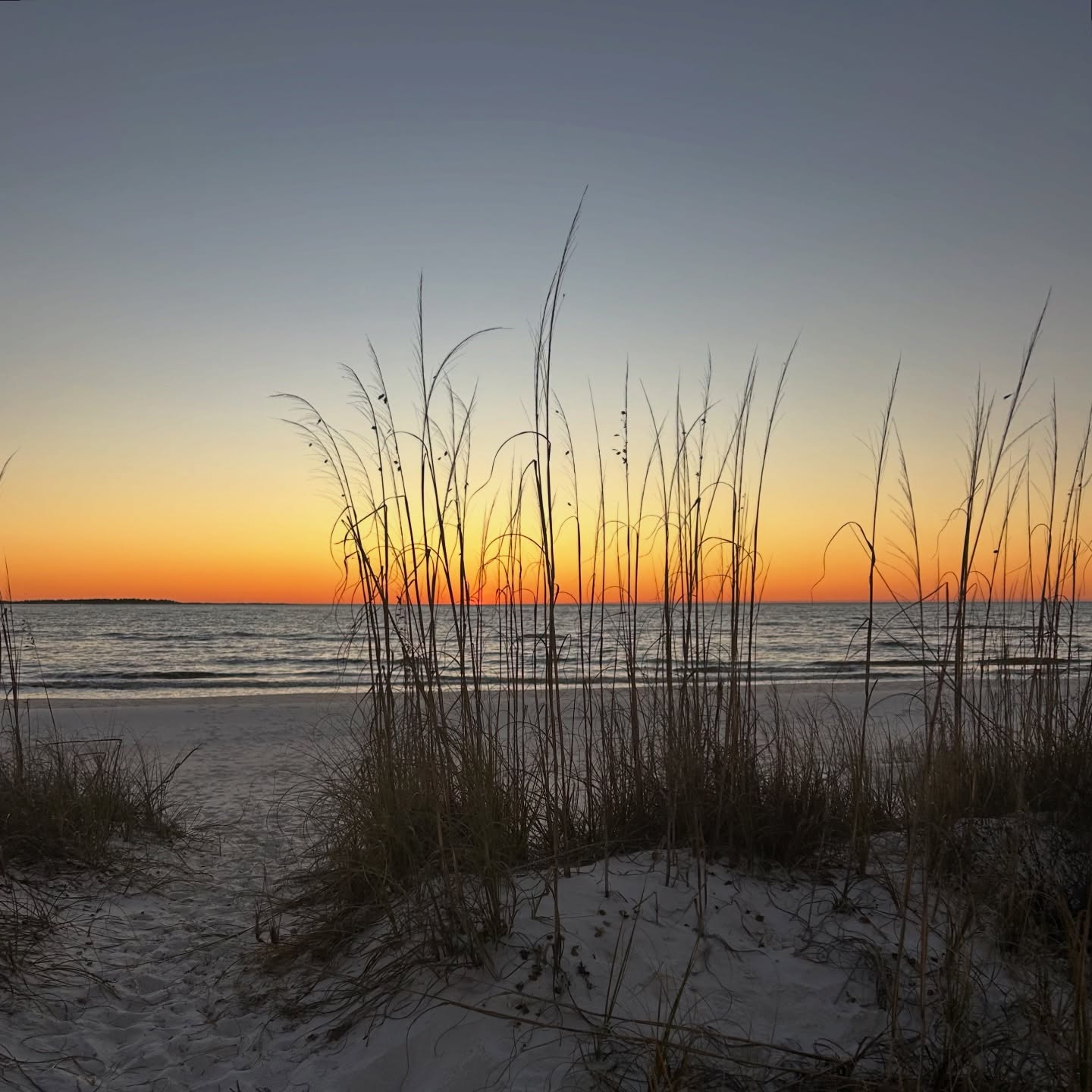 Explore St. Joe Beach Florida | Relaxing Gulf Coast Escape