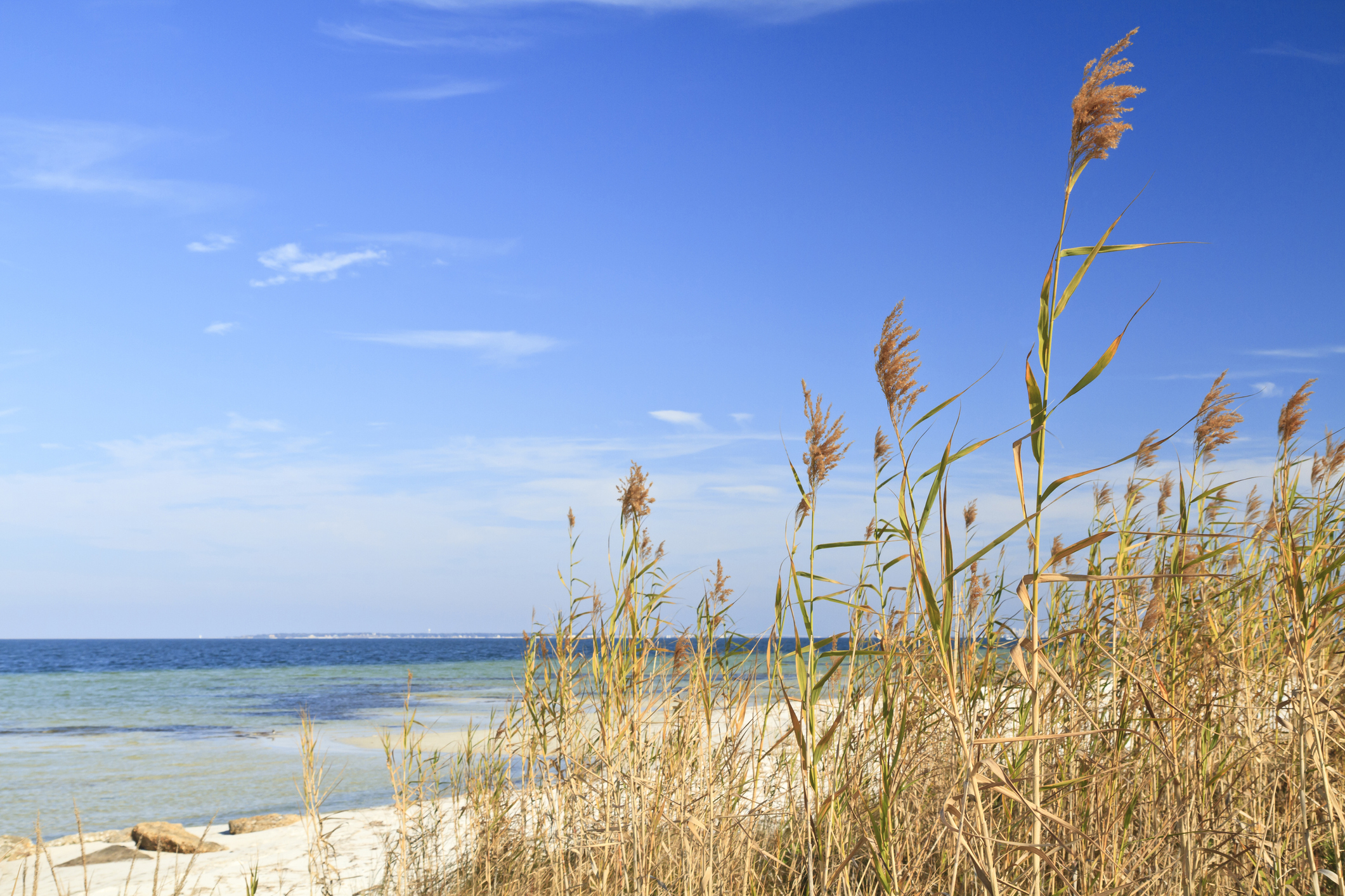 Emerald Coast Guide | Choctawhatchee Bay & Santa Rosa Sound