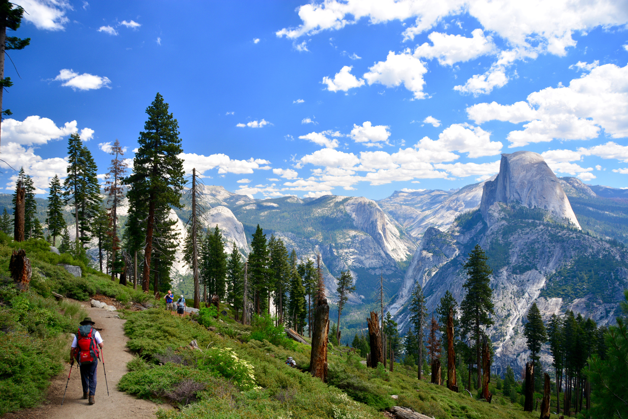 Things to do in Yosemite Area California