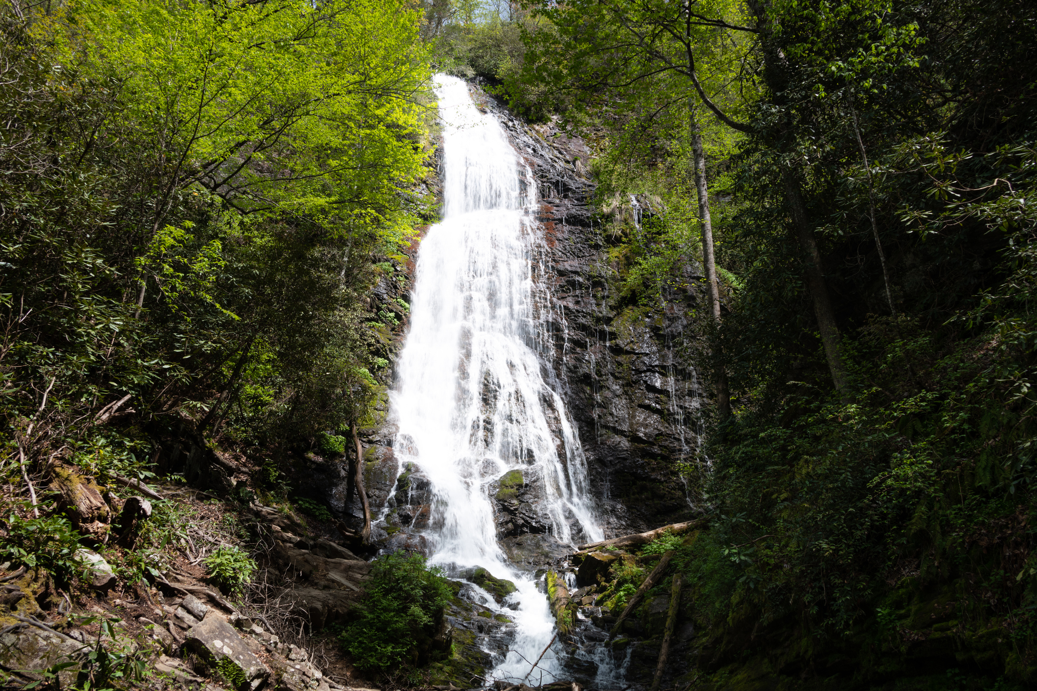 Mingo Falls Cherokee NC | Visitors and Hiking Trail Guide