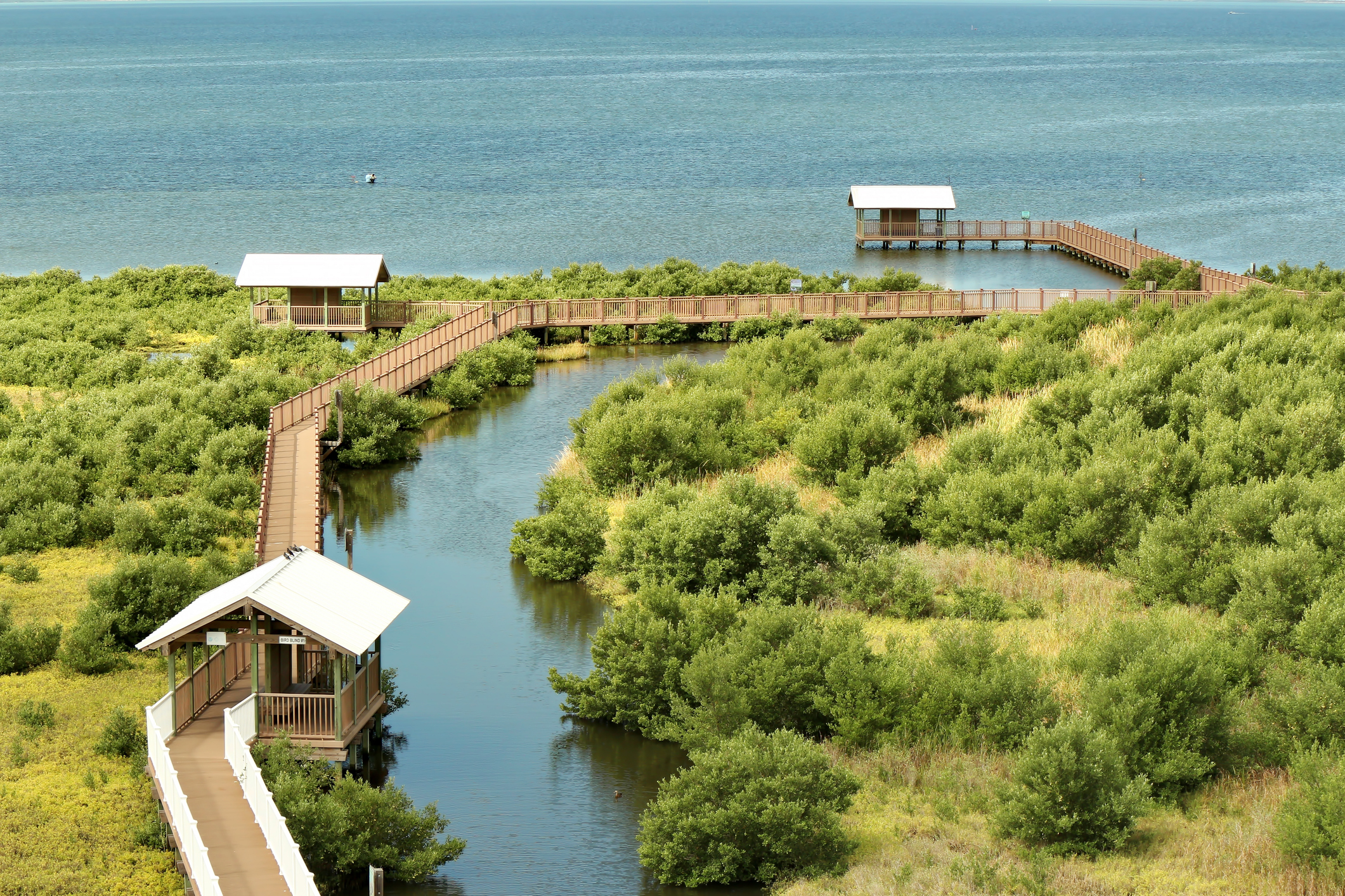 South Padre Island | Boardwalks and Birdwatching