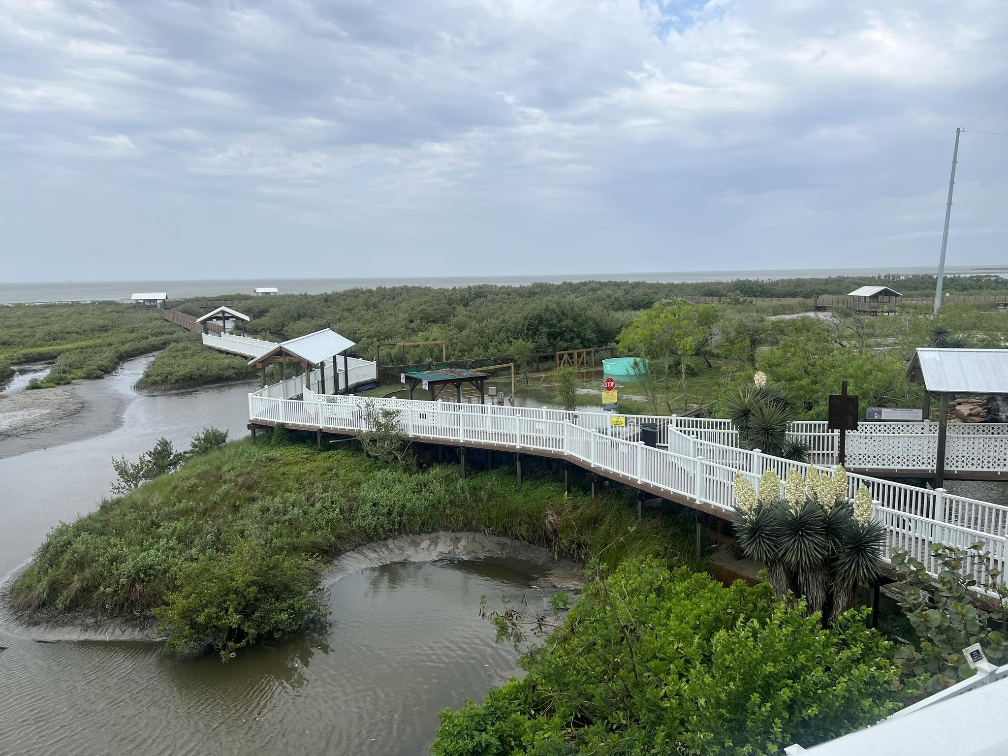 South Padre Island Birding, Nature Center & Alligator Sanctuary