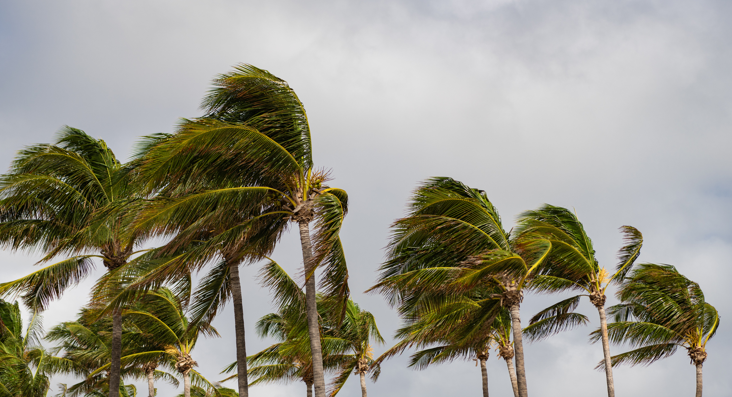 Hurricane Preparedness for Florida Vacation Rentals | Safety Tips