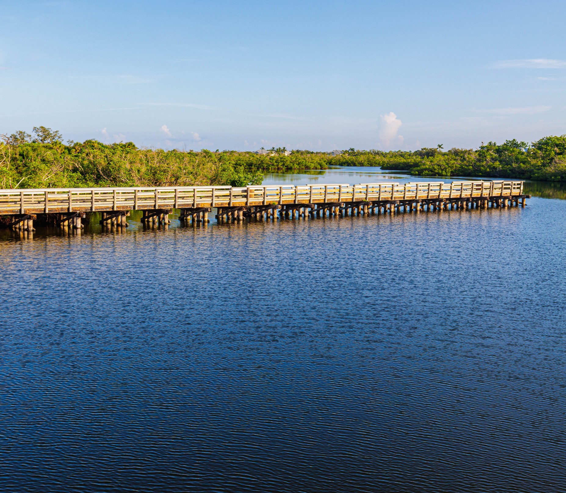 Things to do in Cape Haze Peninsula Florida