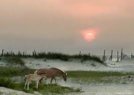 Things to do in Corolla North Carolina