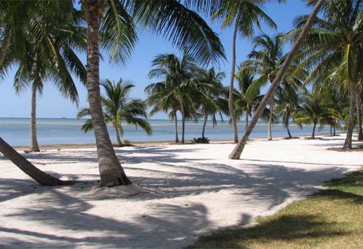 Things to do in Islamorada Florida