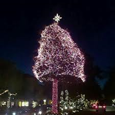 Holiday Tree Lighting & Carmel Plaza Open House